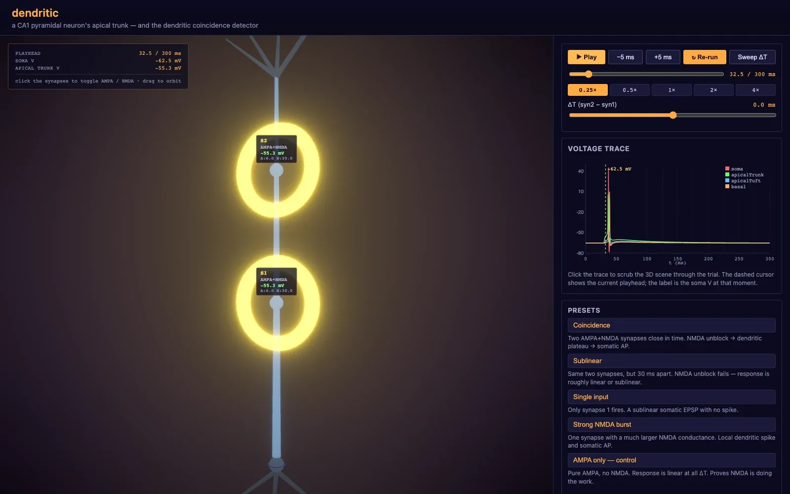 Dendritic coincidence simulator showing synaptic inputs, playback controls and voltage traces.